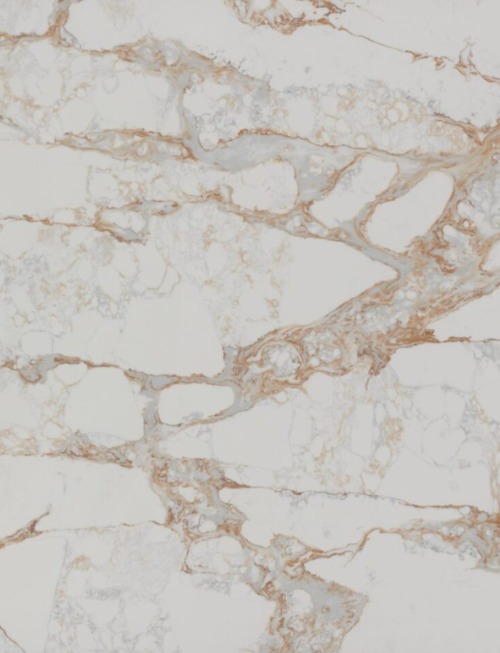Oro Lusso stone slab — AC Stone Luxury Plus range