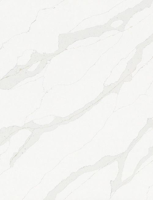 Dolce Tree stone slab — AC Stone Natural Plus range