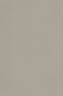 Raw Concrete stone slab — Caesarstone ICON range
