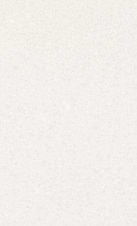 Organic White stone slab — Caesarstone ICON range